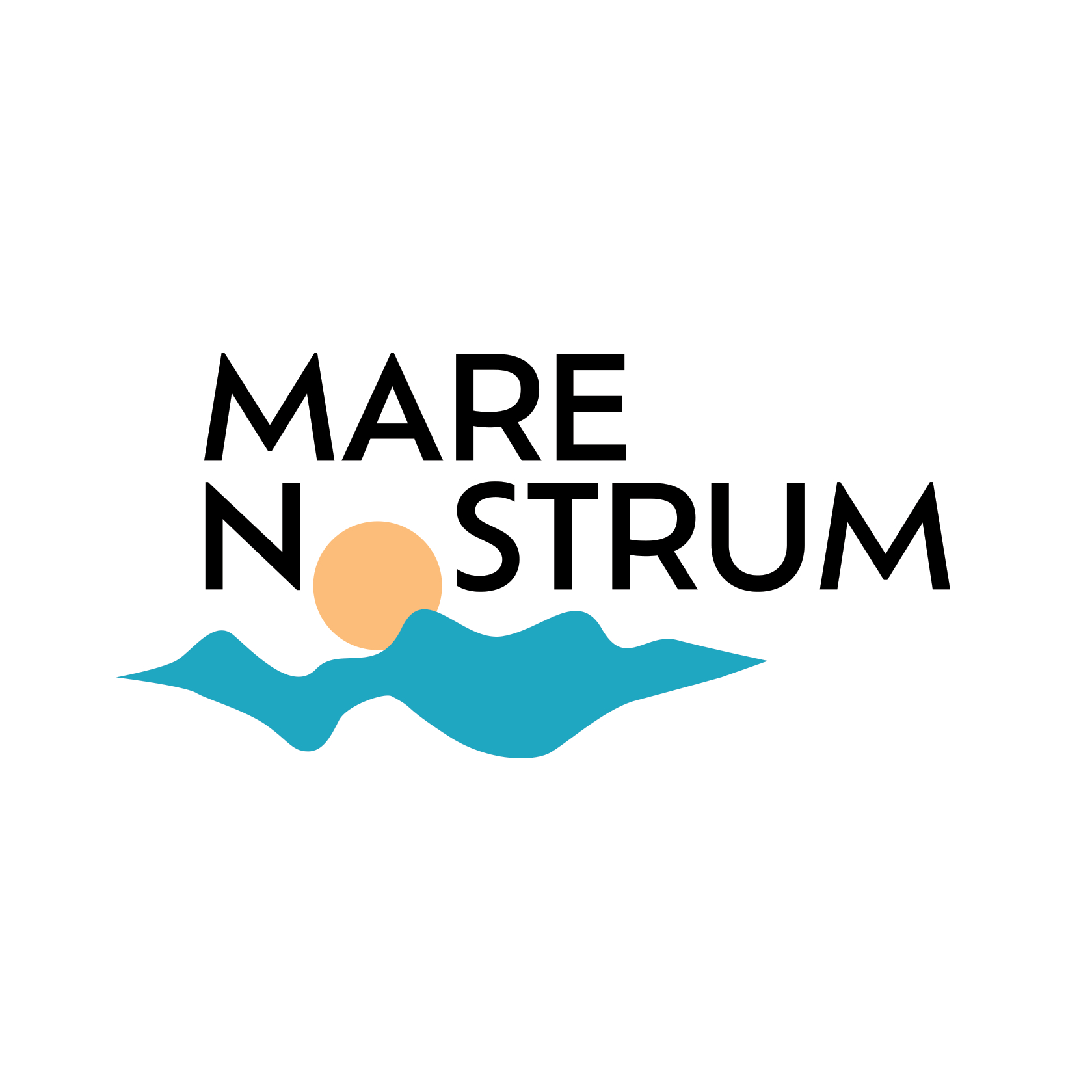 Mare Nostrum Global e.V.